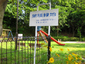 葉積緑地