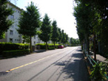 鶴川駅周辺