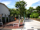 国士舘大学