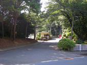 日本女子大学